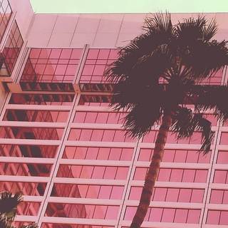 Hot pink iPhone wallpaper