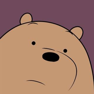 Grizzly bear iPhone wallpaper