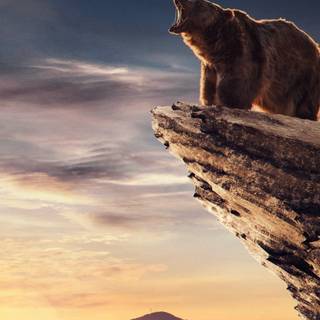 Grizzly bear iPhone wallpaper