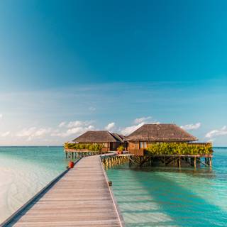 iPhone relax wallpaper