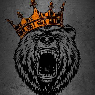 Grizzly bear iPhone wallpaper