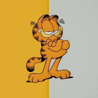 Garfield iPhone wallpaper