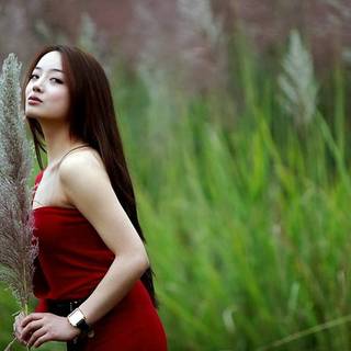 Attractive girls wallpaper