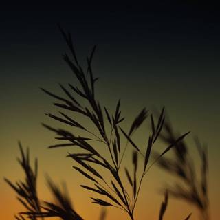 HD iPhone 12 wallpaper