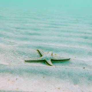 HD iPhone 12 wallpaper