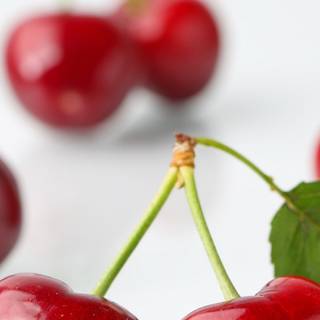 Phone food wallpaper