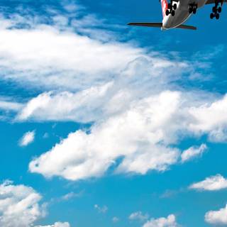 Swiss phone wallpaper