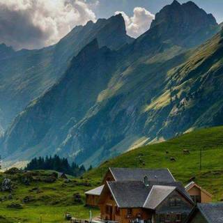 Swiss phone wallpaper