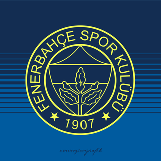 Fenerbahce PC wallpaper