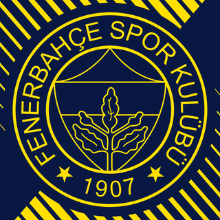 Fenerbahçe phone wallpaper
