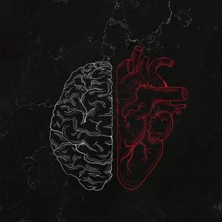 Heart brain wallpaper