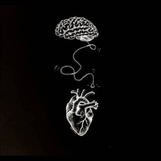 Heart brain wallpaper