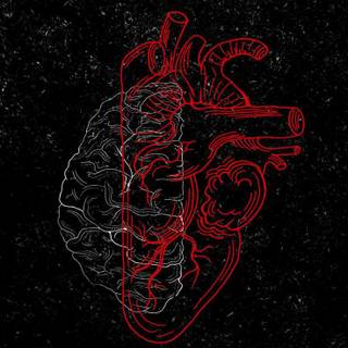 Heart brain wallpaper