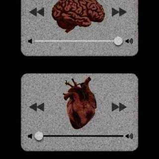 Heart brain wallpaper