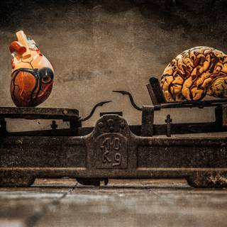 Heart brain wallpaper