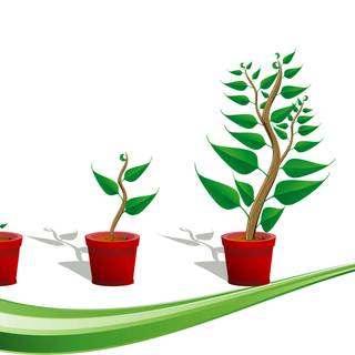 Growing plant wallpaper