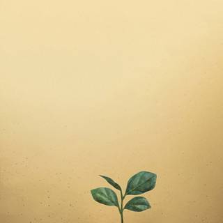 Growing plant wallpaper