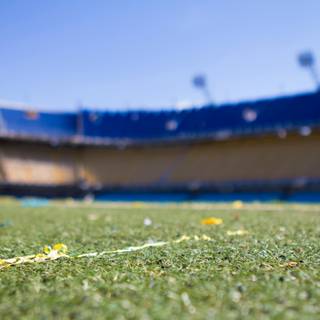 Boca Juniors 4k wallpaper