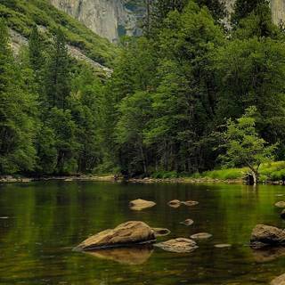 iPhone 14 Plus 4k wallpaper