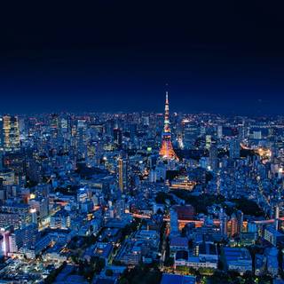 Night life 4k wallpaper