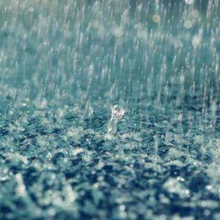 4k rain phone wallpaper