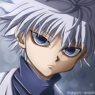 Spider Hunter x Hunter wallpaper