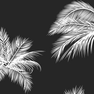 iPhone black white wallpaper