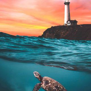 Lighthouse iPhone wallpaper
