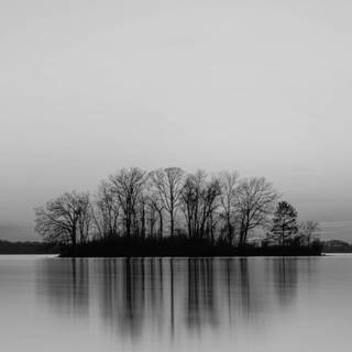 iPhone black white wallpaper