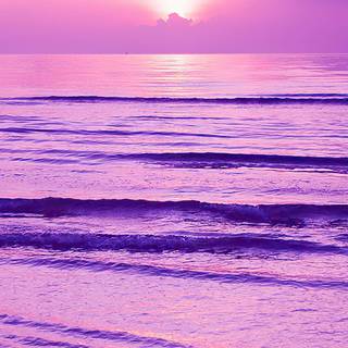 Cute purple iPhone wallpaper