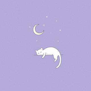Cute purple iPhone wallpaper