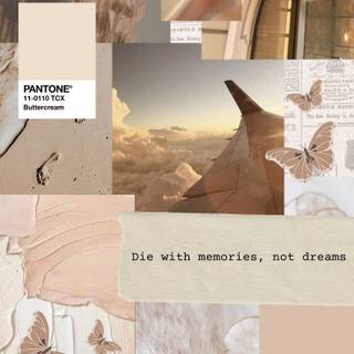 Aesthetic beige iPhone wallpaper