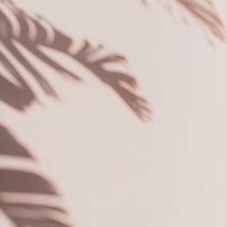 Aesthetic beige iPhone wallpaper