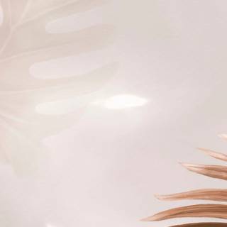 Aesthetic beige iPhone wallpaper