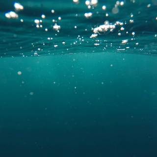 4k underwater PC wallpaper