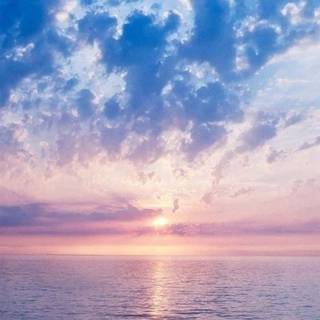 iPhone morning wallpaper