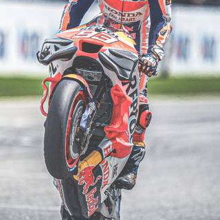 Marc Marquez iPhone wallpaper
