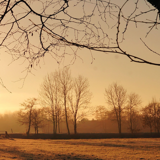 iPhone morning wallpaper