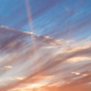 iPhone morning wallpaper