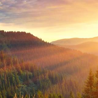 iPhone morning wallpaper