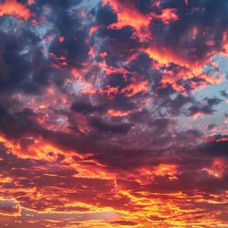 iPhone morning wallpaper