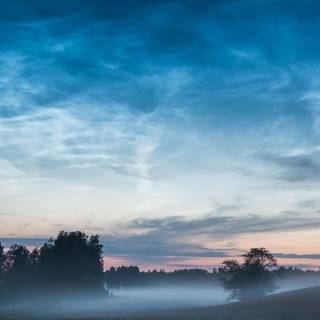 iPhone morning wallpaper