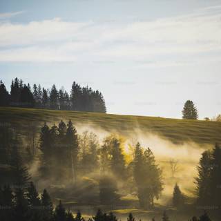 iPhone morning wallpaper