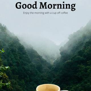 iPhone morning wallpaper