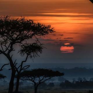 South Africa phone wallpaper