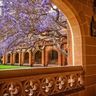 University of Sydney wallpaper