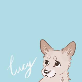 Cute animal iPhone wallpaper