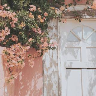 Aesthetic pastel phone wallpaper