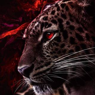 Wild animals iPhone wallpaper