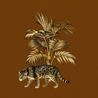 Wild animals iPhone wallpaper